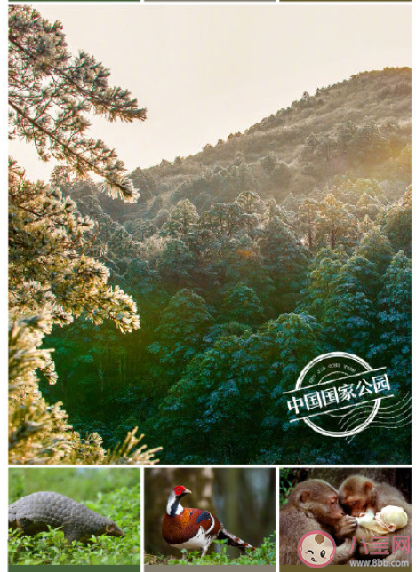 第一批国家公园名单有哪些 什么是国家公园 第一批国家公园名单有哪些 什么是国家公园