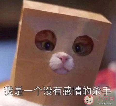 热恋期过了的情侣会有什么改变 热恋期之后该怎么办