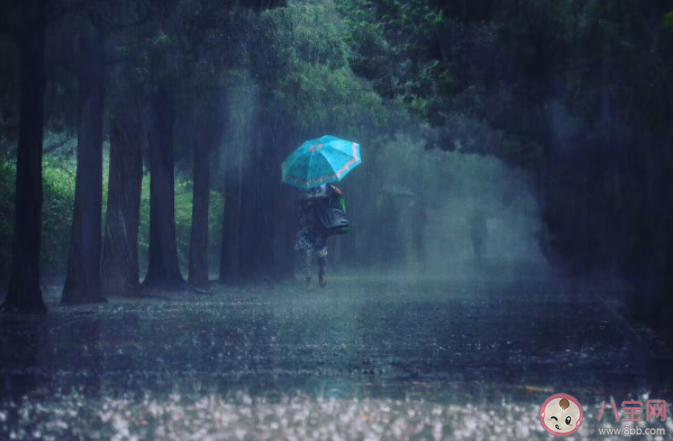百年一遇的暴雨为何年年遇 为什么今年天气如此反常