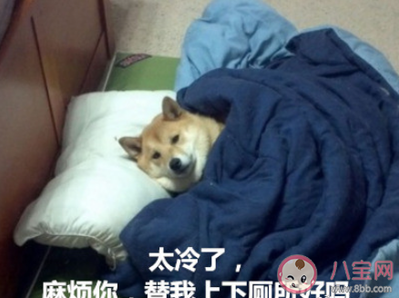 女怕冷男怕热是为什么 什么原因造成了这种差异