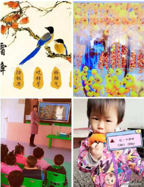 2021幼儿园霜降活动报道稿美篇 2021幼儿园霜降活动现场简报大全