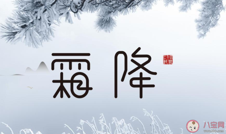 2021今日霜降暖心祝福语朋友圈说说 2021今日霜降互相问候的句子语录