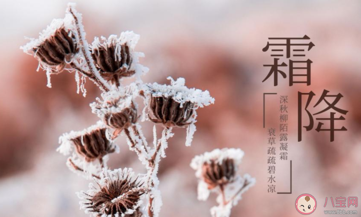 2021今日霜降暖心祝福语朋友圈说说 2021今日霜降互相问候的句子语录