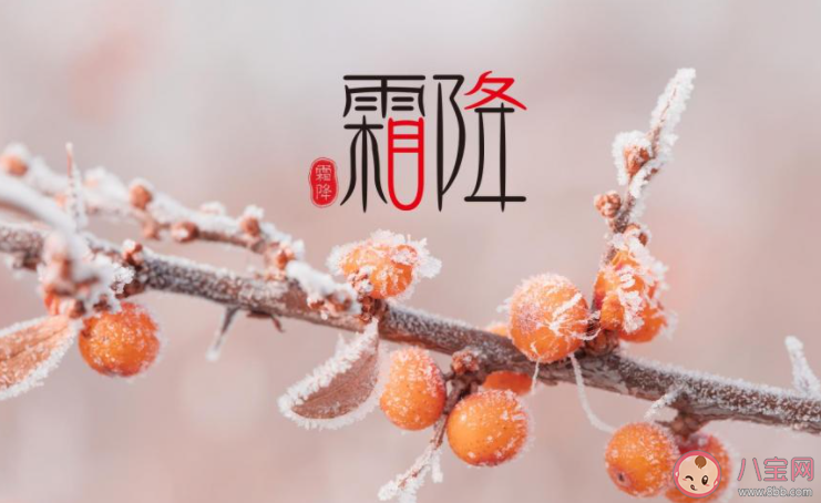2021今日霜降暖心祝福语朋友圈说说 2021今日霜降互相问候的句子语录