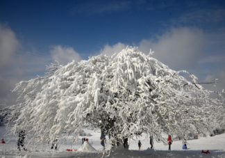全球气候变暖为何还会有强寒潮来袭 为何今年寒潮比往年更早