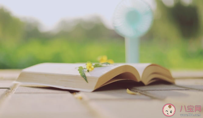 读过的书都忘掉了还有意义吗 看完的书都记不住怎么办 读过的书都忘掉了还有意义吗 看完的书都记不住怎么办