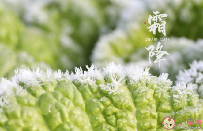 霜降是几月几日2021年 霜降有哪些风俗习惯 霜降是几月几日2021年 霜降有哪些风俗习惯