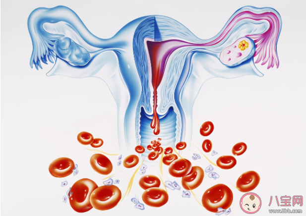 经血逆行有什么危险 女性宇航员太来月经怎么办