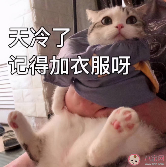 ​天气变冷降温的可爱治愈朋友圈文案句子 天冷了发朋友圈沙雕搞笑句子大全