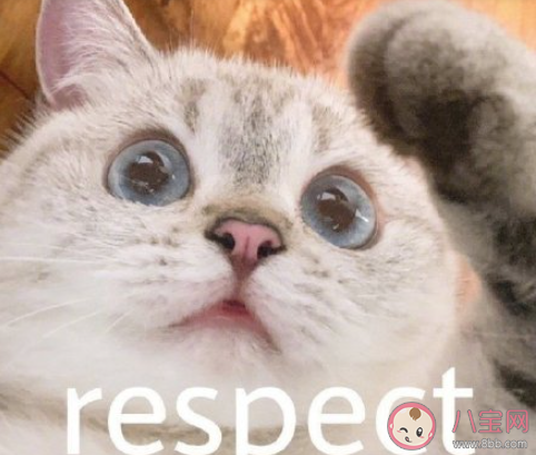 月入一万真的很简单吗 如何才能月入一万 月入一万真的很简单吗 如何才能月入一万