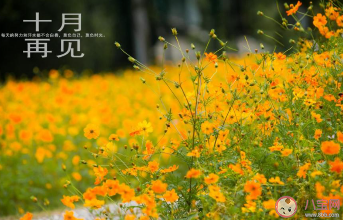 告别十月迎接十一月的正能量朋友圈说说 再见十月十一月你好的句子朋友圈 告别十月迎接十一月的正能量朋友圈说说 再见十月十一月你好的句子朋友圈