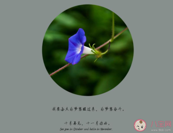 告别十月迎接十一月的正能量朋友圈说说 再见十月十一月你好的句子朋友圈 告别十月迎接十一月的正能量朋友圈说说 再见十月十一月你好的句子朋友圈