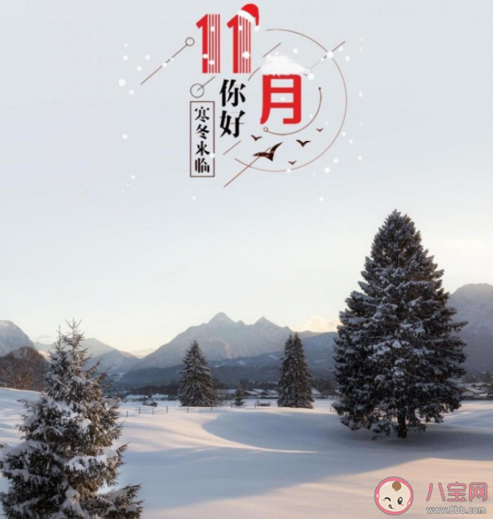 2021十一月你好早安心语图片文案说说 2021十一月早安的朋友圈说说配图 2021十一月你好早安心语图片文案说说 2021十一月早安的朋友圈说说配图