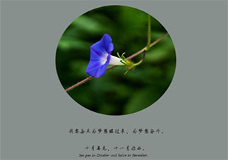 告别十月迎接十一月的正能量朋友圈说说 再见十月十一月你好的句子朋友圈