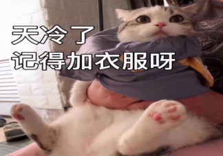 ​天气变冷降温的可爱治愈朋友圈文案句子 天冷了发朋友圈沙雕搞笑句子大全