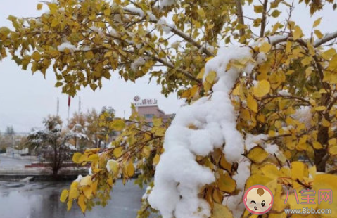 今年冬季可能出现极端天气 冬天太冷了怎么办 今年冬季可能出现极端天气 冬天太冷了怎么办