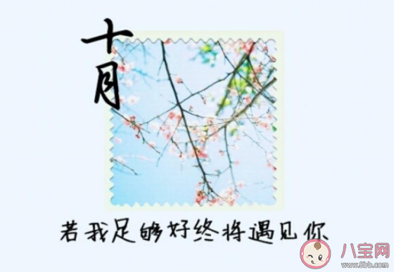 2021十月最后一天的朋友圈配文说说 2021十月最后一天的文案句子大全 2021十月最后一天的朋友圈配文说说 2021十月最后一天的文案句子大全