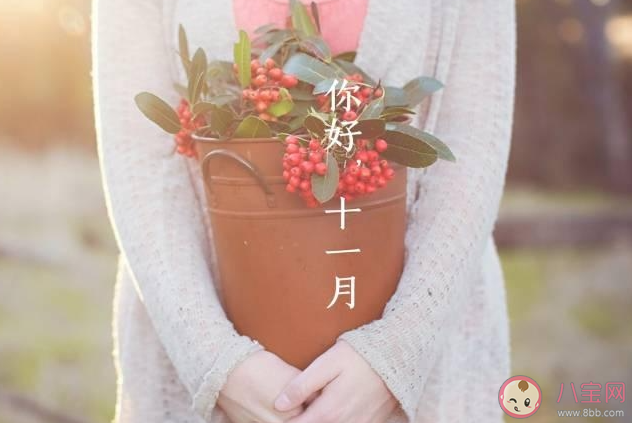 10月再见11月你好的一句话朋友圈说说 10月结束11月开始了的心情句子 10月再见11月你好的一句话朋友圈说说 10月结束11月开始了的心情句子