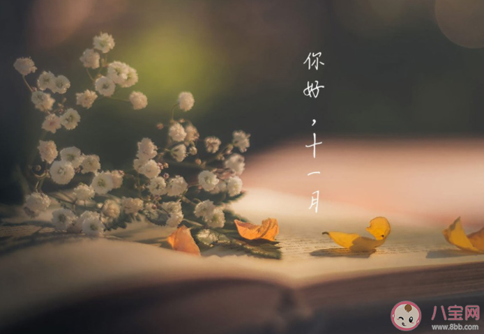 10月再见11月你好的一句话朋友圈说说 10月结束11月开始了的心情句子 10月再见11月你好的一句话朋友圈说说 10月结束11月开始了的心情句子