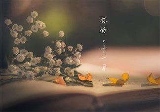 10月再见11月你好的一句话朋友圈说说 10月结束11月开始了的心情句子