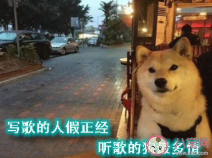 单身真的会上瘾吗 为什么有人长期单身