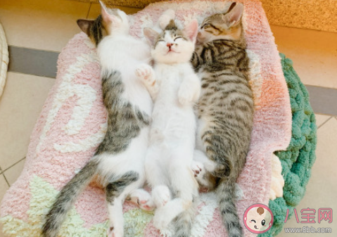 2021年只剩下两个月的朋友圈文案说说 2021年最后两个月的心情朋友圈 2021年只剩下两个月的朋友圈文案说说 2021年最后两个月的心情朋友圈