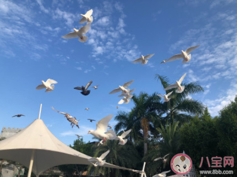 2021马上结束的心情说说短语 2021就要结束了的朋友圈句子 2021马上结束的心情说说短语 2021就要结束了的朋友圈句子