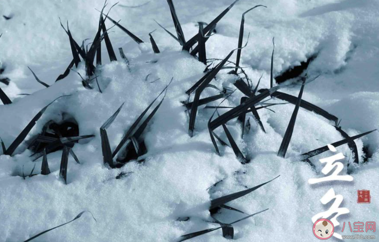 2021立冬早安心语图片经典祝福语说说 2021立冬节气说早安的语录句子 2021立冬早安心语图片经典祝福语说说 2021立冬节气说早安的语录句子