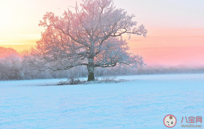 2021今年冬天会很冷吗 拉尼娜事件是什么意思 2021今年冬天会很冷吗 拉尼娜事件是什么意思