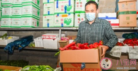 近期蔬菜价格为何跳涨 蔬菜价格未来走势如何 近期蔬菜价格为何跳涨 蔬菜价格未来走势如何