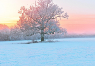 2021今年冬天会很冷吗 拉尼娜事件是什么意思
