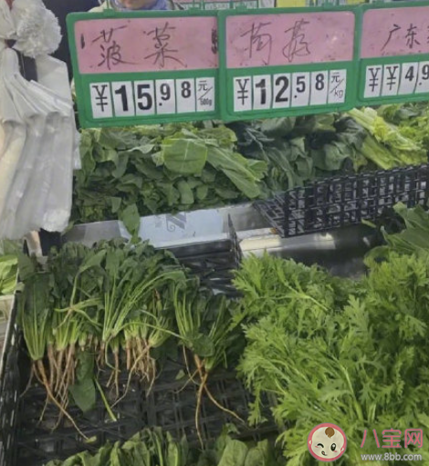 菜比肉贵到底是为什么 多地菜比肉贵是什么原因 菜比肉贵到底是为什么 多地菜比肉贵是什么原因