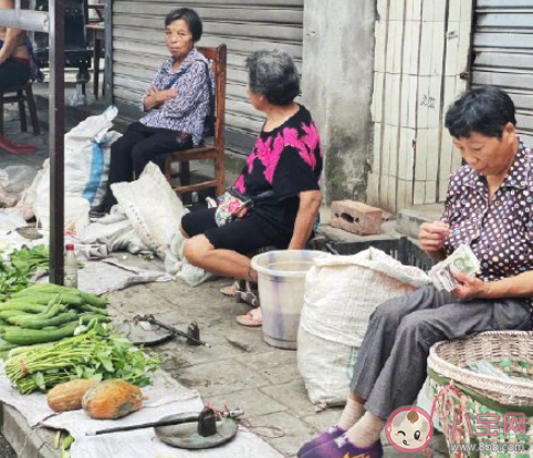 为什么菜价涨菜农依然难赚钱 菜价涨钱被谁赚了 为什么菜价涨菜农依然难赚钱 菜价涨钱被谁赚了