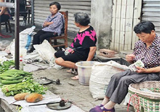 为什么菜价涨菜农依然难赚钱 菜价涨钱被谁赚了