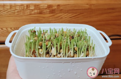 菜比肉贵的搞笑朋友圈说说 菜太贵吃不起了的幽默句子 菜比肉贵的搞笑朋友圈说说 菜太贵吃不起了的幽默句子