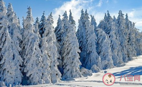 今冬拉尼娜发生成定局会被冻哭吗 今年冬天有多冷 今冬拉尼娜发生成定局会被冻哭吗 今年冬天有多冷