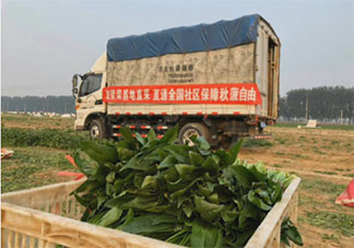 菜比肉贵的搞笑朋友圈说说 菜太贵吃不起了的幽默句子