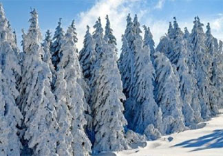 今冬拉尼娜发生成定局会被冻哭吗 今年冬天有多冷