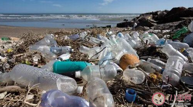 用过滤水代替瓶装水有什么意义 为什么要减少瓶装水的使用 用过滤水代替瓶装水有什么意义 为什么要减少瓶装水的使用