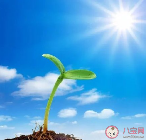 考完教资笔试的心情说说朋友圈 考完教资笔试的感受句子 考完教资笔试的心情说说朋友圈 考完教资笔试的感受句子