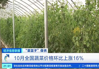 10月蔬菜价格上涨近2成 吃不起蔬菜了怎么办