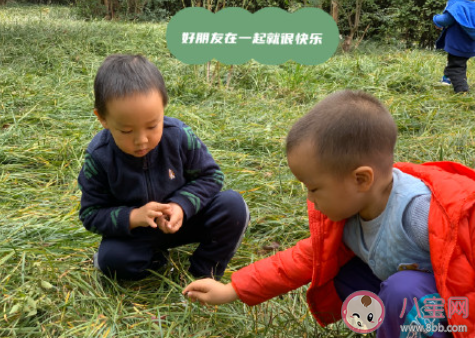 2021幼儿园秋游季活动报道稿美篇 2021幼儿园组织秋游的活动报道大全