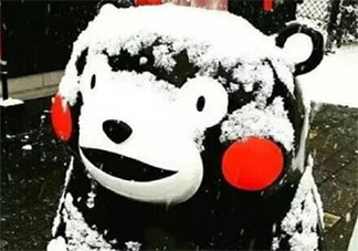 一夜入冬的心情说说短语2021 一夜之间进入冬天的说说句子