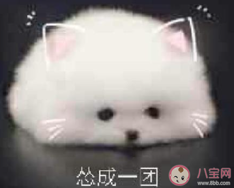 和他人产生分歧要不要正面刚 同别人有分歧该怎么办