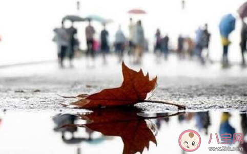 一夜入冬的心情说说短语2021 一夜之间进入冬天的说说句子