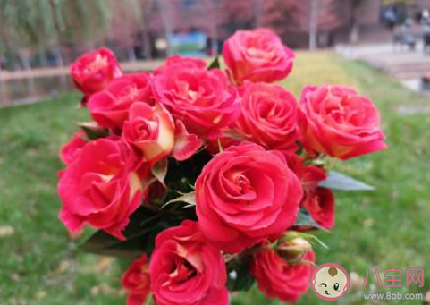 一夜入冬的心情说说短语2021 一夜之间进入冬天的说说句子