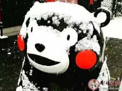 一夜入冬的心情说说短语2021 一夜之间进入冬天的说说句子