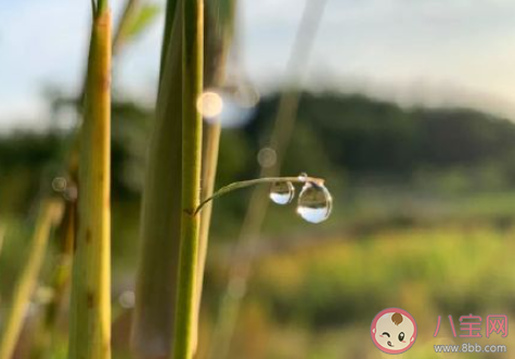 感情变淡了的朋友圈心情说说 觉得感情淡了的文案句子分享