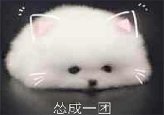 和他人产生分歧要不要正面刚 同别人有分歧该怎么办