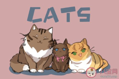 天气骤然变冷的朋友圈怎么发 突然变得好冷的朋友圈说说